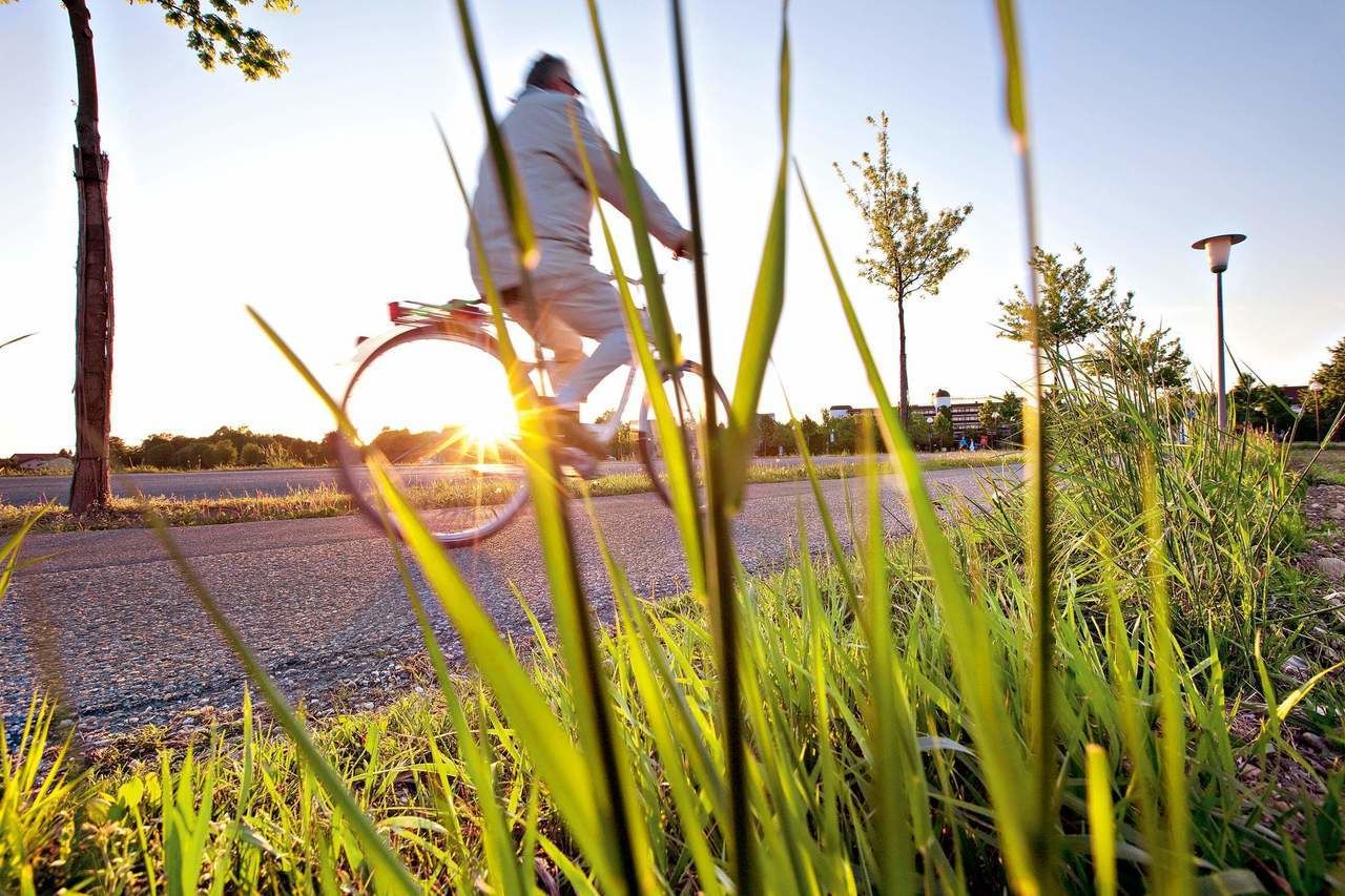 Radfahren Bad Füssing Radtouren Inntalradweg Donauradweg