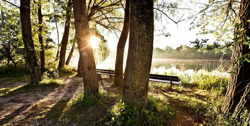 2 benches by the lake with sun
