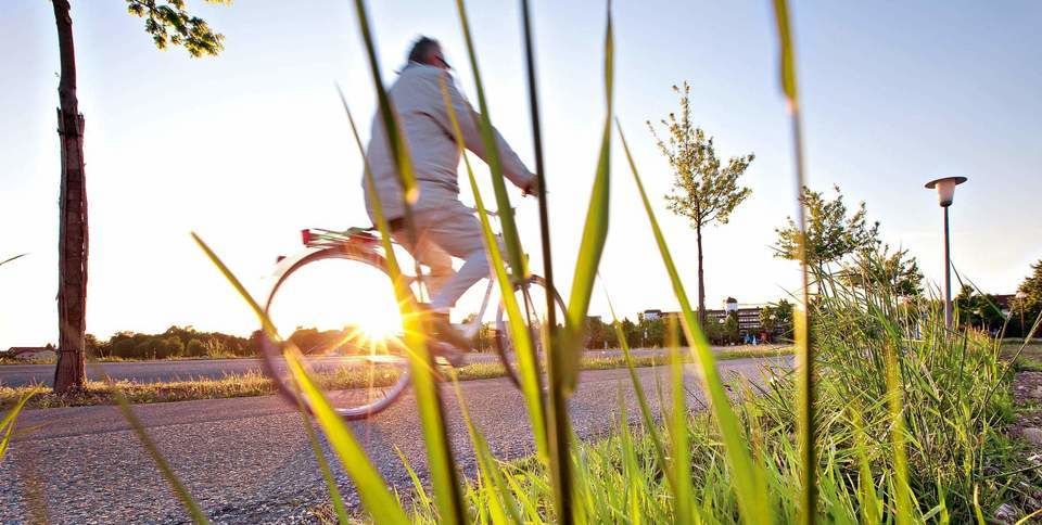 Fahrrad Gegenlicht