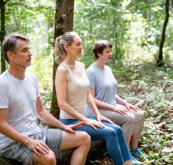 Gruppe Meditation im Wald