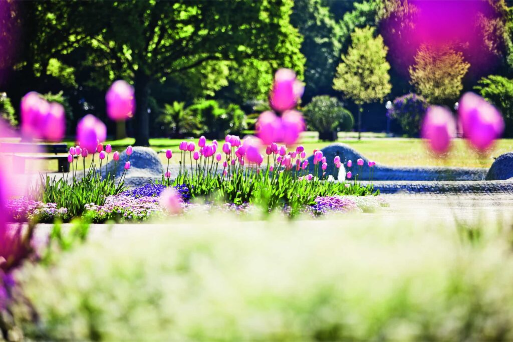 Sommer im Kurpark 4 Moritz Attenberger